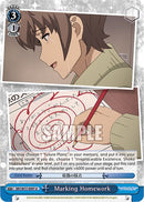 Marking Homework [Rascal Does Not Dream of a Dreaming Girl]