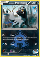 Team Aqua's Poochyena (16/34) [XY: Double Crisis] Reverse Holofoil