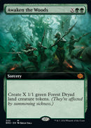 Awaken the Woods (Extended Art) [The Brothers' War] Foil