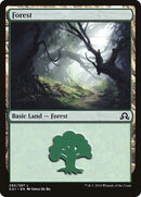 Forest (295) [Shadows over Innistrad] Foil