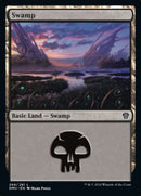 Swamp (269) [Dominaria United] Foil