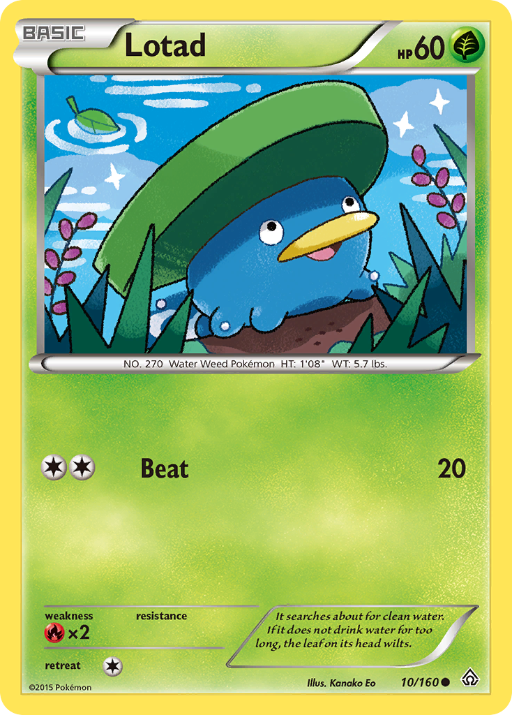 Lotad (10/160) [XY: Primal Clash] Reverse Holofoil