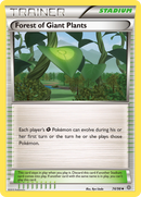 Forest of Giant Plants (74/98) [XY: Ancient Origins] Reverse Holofoil