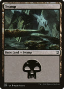Swamp (382) [Zendikar Rising] Foil