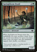 Springbloom Druid [Modern Horizons] Foil