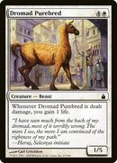 Dromad Purebred [Ravnica: City of Guilds] Foil