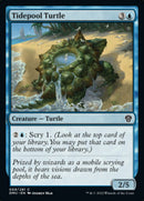 Tidepool Turtle [Dominaria United] Foil