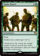 Turtle Power! [Teenage Mutant Ninja Turtles] Foil
