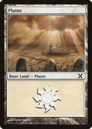 Plains (366) [Tenth Edition] Foil