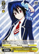 Seishiro Tsugumi (NK/W30-TE04 TD) [NISEKOI -False Love-]