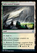Saltcrusted Steppe [Time Spiral Remastered] Foil