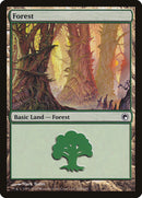 Forest (249) [Scars of Mirrodin] Foil