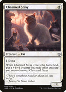 Charmed Stray [War of the Spark] Foil