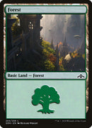 Forest (264) [Guilds of Ravnica] Foil