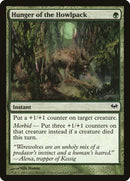 Hunger of the Howlpack [Dark Ascension] Foil