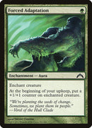 Forced Adaptation [Gatecrash] Foil