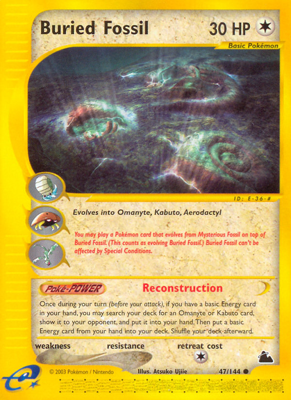 Buried Fossil (47/144) [Skyridge] Reverse Holofoil