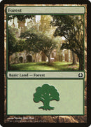 Forest (271) [Return to Ravnica] Foil