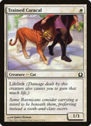 Trained Caracal [Return to Ravnica] Foil