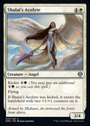 Shalai's Acolyte [Dominaria United] Foil