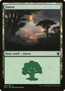 Forest (264) [Dragons of Tarkir] Foil