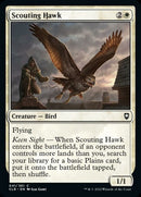 Scouting Hawk [Commander Legends: Battle for Baldur's Gate] Foil