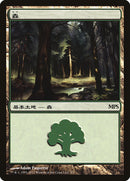 Forest - Innistrad Cycle [Magic Premiere Shop 2011] Foil