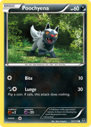 Poochyena (53/119) [XY: Phantom Forces] Reverse Holofoil