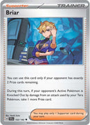 Briar (132/142) [Scarlet & Violet: Stellar Crown] Reverse Holofoil