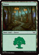 Forest (0286) [Duskmourn: House of Horror] Foil