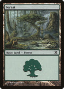 Forest (382) [Tenth Edition] Foil