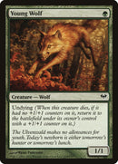Young Wolf [Dark Ascension] Foil