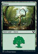 Forest (374) [Strixhaven: School of Mages] Foil