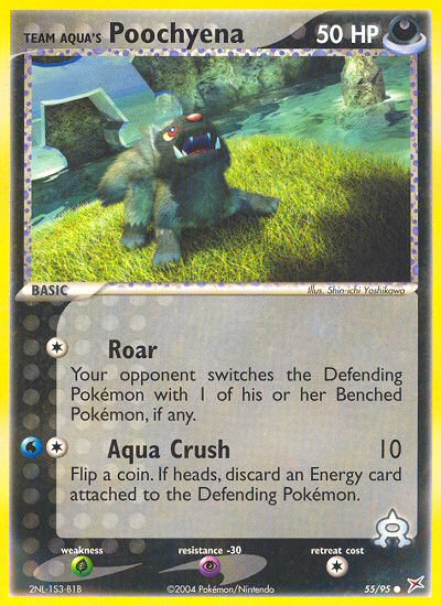 Team Aqua's Poochyena (55/95) [EX: Team Magma vs Team Aqua] Reverse Holofoil