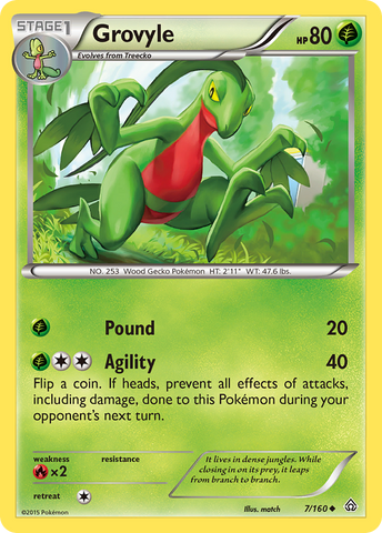 Grovyle (7/160) [XY: Primal Clash] Reverse Holofoil