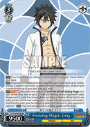 Freezing Magic, Gray (FT/S120-E076 RR) [FAIRY TAIL 100 YEARS QUEST]