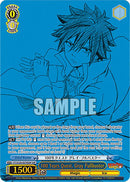 100 Years Quest, Gray Fullbuster (FT/S120-E078SSP SSP) [FAIRY TAIL 100 YEARS QUEST]
