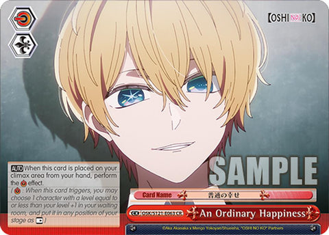 An Ordinary Happiness (OSK/S121-E063 CR) [[OSHI NO KO] Vol.2]