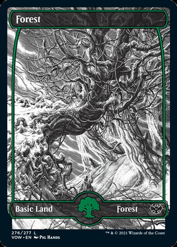 Forest (276) [Innistrad: Crimson Vow] Foil