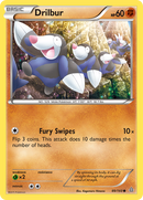 Drilbur (89/160) [XY: Primal Clash] Reverse Holofoil