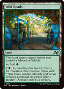 Wild Roads [Aetherdrift] Foil