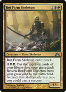 Rot Farm Skeleton [Dragon's Maze] Foil