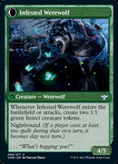 Infestation Expert // Infested Werewolf [Innistrad: Crimson Vow] Foil