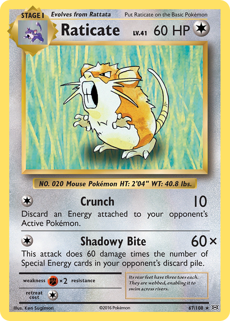 Raticate (67/108) [XY: Evolutions] Reverse Holofoil