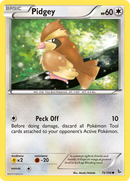 Pidgey (75/106) [XY: Flashfire] Reverse Holofoil