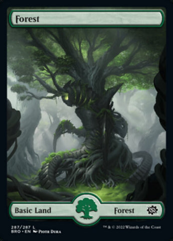 Forest (287) [The Brothers' War] Foil