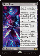 Ninja Teen [Teenage Mutant Ninja Turtles] Foil