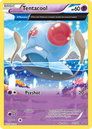 Tentacool (71/160) [XY: Primal Clash] Reverse Holofoil