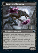 Baneblade Scoundrel // Baneclaw Marauder [Innistrad: Midnight Hunt] Foil
