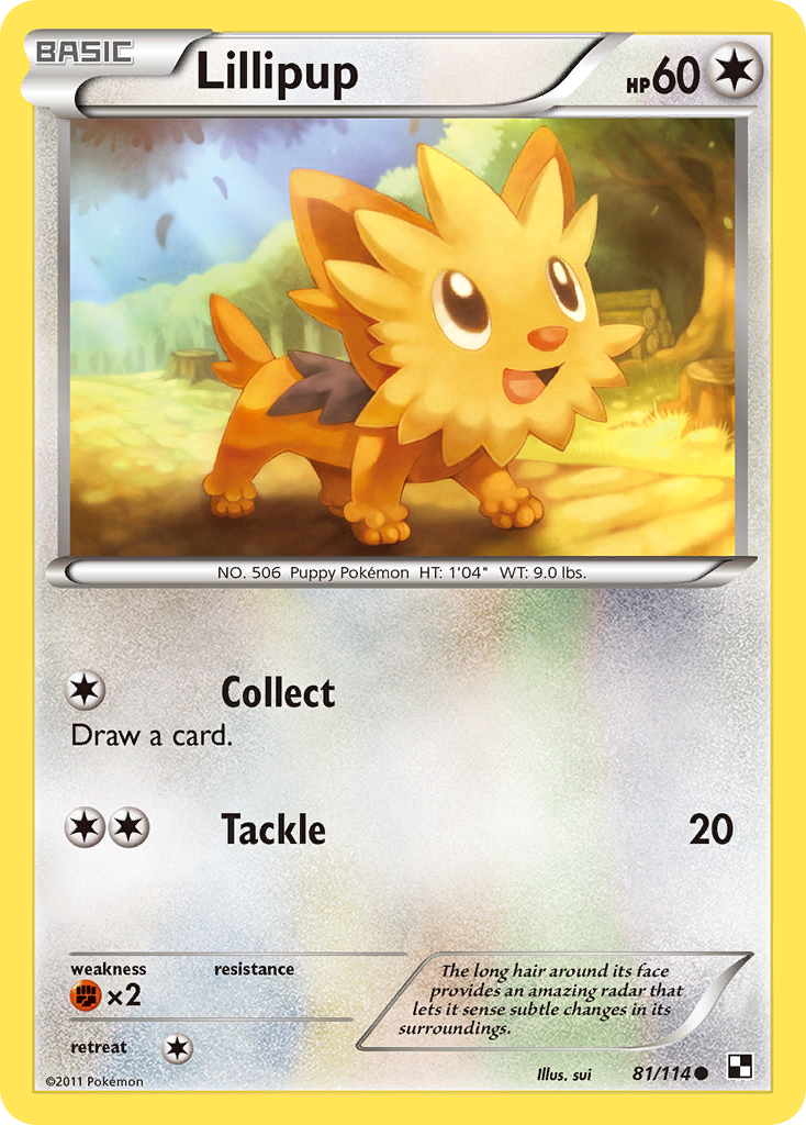 Lillipup (81/114) [Black & White: Base Set] Reverse Holofoil